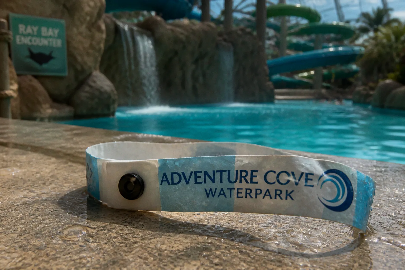 Adventure Cove Waterpark Tickets: Welche Option lohnt sich?